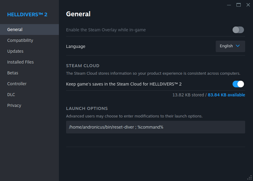 Steam Launch Option